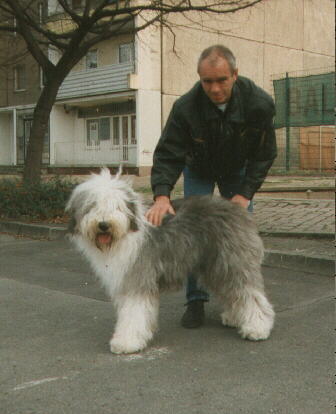 Andy mit Herrchen- unzertrennlich