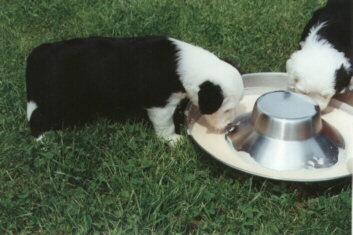 Charly und Cindy