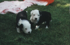 Charly und Cindy